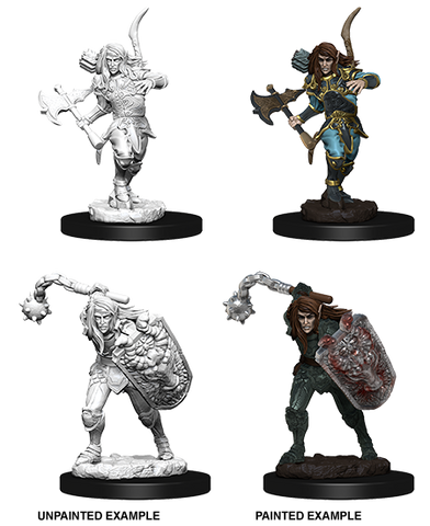 Pathfinder Deep Cuts Unpainted Miniatures: W06 Male Elf Fighter