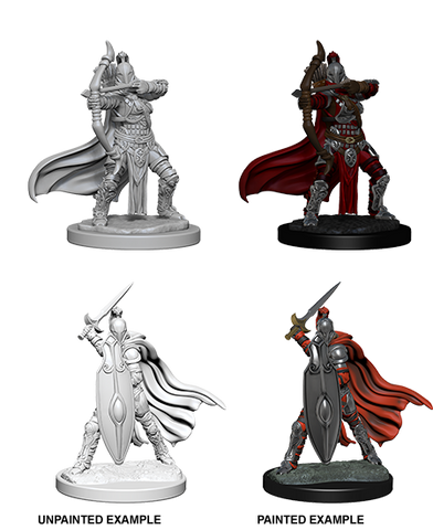 Pathfinder Deep Cuts Unpainted Miniatures: W06 Female Knight / Gray Maidens