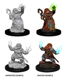 Pathfinder Deep Cuts Unpainted Miniatures: W07 Female Dwarf Summoner