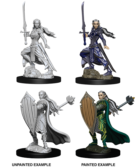 D&D Nolzur's Marvelous Unpainted Miniatures: W9 Female Elf Paladin