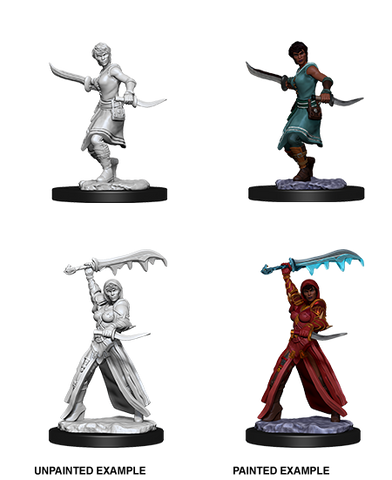 D&D Nolzur's Marvelous Unpainted Miniatures: W10 Female Human Rogue
