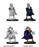 D&D Nolzur's Marvelous Unpainted Miniatures: W10 Female Human Sorcerer