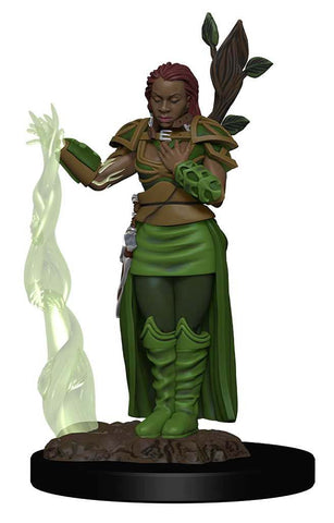 D&D Icons of the Realms: Premium Painted Figures: W02 Human Female Druid
