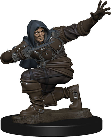 Pathfinder Battles: Premium Painted Figure: W01 Human Rogue Male