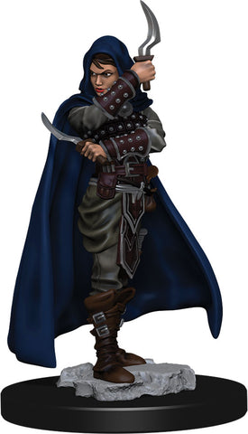 Pathfinder Battles: Premium Painted Figure: W01 Human Rogue Female