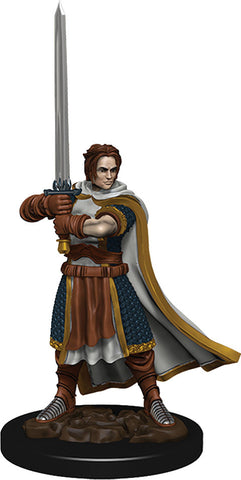 D&D Icons of the Realms: Premium Painted Figures: W04 Human Cleric Male