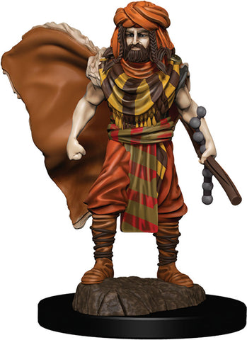 D&D Icons of the Realms: Premium Painted Figures: W04 Human Druid Male