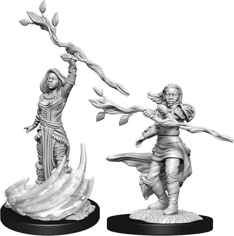 D&D Nolzur's Marvelous Miniatures: W14 Human Druid Female