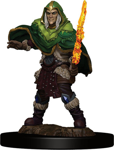 D&D Icons of the Realms: Premium Painted Figures: W05 Elf Fighter Male