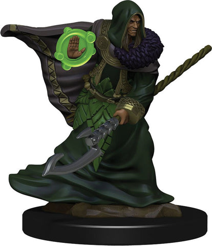 D&D Icons of the Realms: Premium Painted Figures: W05 Elf Druid Male