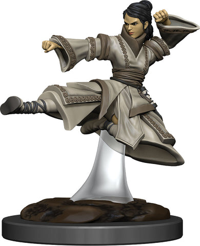 D&D Icons of the Realms: Premium Painted Figures: W06 Human Monk Female