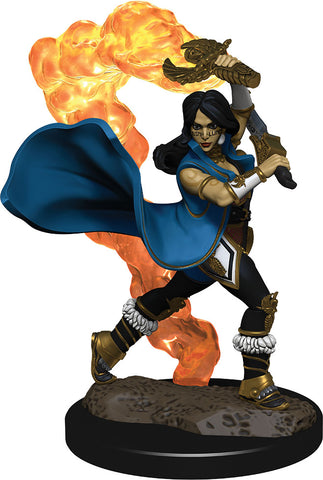 Pathfinder Battles: Premium Painted Figure: W02 Human Cleric Female