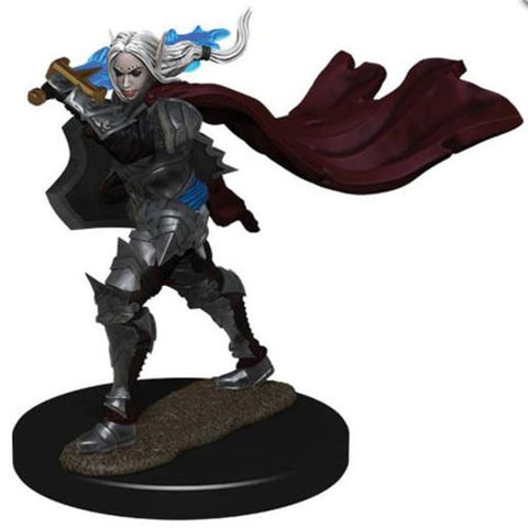 Pathfinder Battles: Premium Painted Figure: W02 Elf Paladin Female