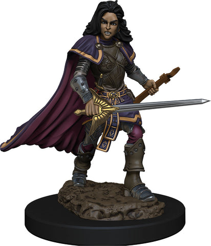 Pathfinder Battles: Premium Painted Figure: W02 Human Bard Female