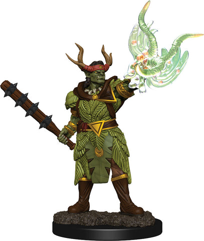 Pathfinder Battles: Premium Painted Figure: W02 Half-Ord Druild Male
