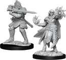 D&D Nolzur's Marvelous Miniatures: W15 Hobgoblin Fighter Male & Hobgoblin Wizard Female