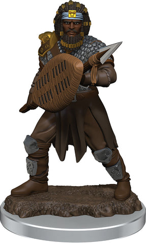 D&D Icons of the Realms: Premium Painted Figures: W07 Male Human Fighter