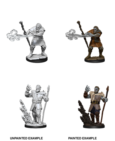 D&D Nolzur's Marvelous Unpainted Miniatures: W11 Male Firbolg Druid