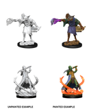D&D Nolzur's Marvelous Unpainted Miniatures: W11 Arcanaloth & Ultroloth
