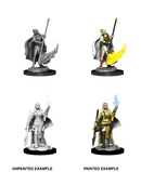 Pathfinder Deep Cuts Unpainted Miniatures: W11 Female Human Oracle (Magic User)