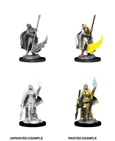 Pathfinder Deep Cuts Unpainted Miniatures: W11 Female Human Oracle (Magic User)