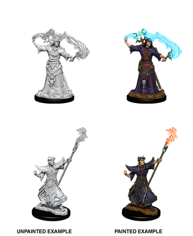 Pathfinder Deep Cuts Unpainted Miniatures: W11 Male Human Sorcerer
