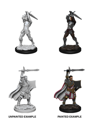 D&D Nolzur's Marvelous Unpainted Miniatures: W12 Male Human Paladin
