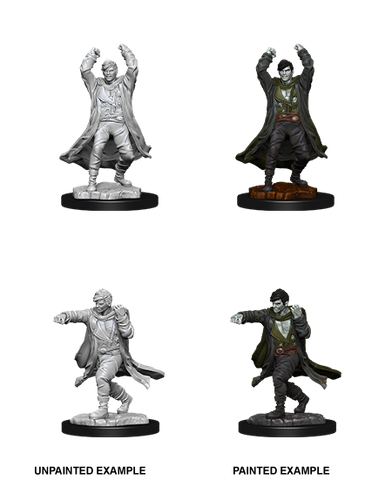 D&D Nolzur's Marvelous Unpainted Miniatures: W12 Revenant