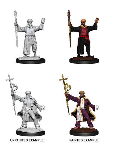 D&D Nolzur's Marvelous Unpainted Miniatures: W13 Human Wizard Male