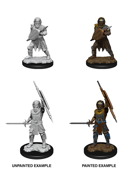 D&D Nolzur's Marvelous Unpainted Miniatures: W13 Human Fighter Male