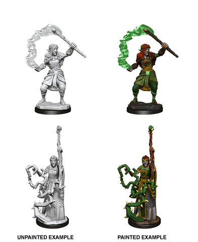 D&D Nolzur's Marvelous Unpainted Miniatures: W13 Firbolg Druid Female