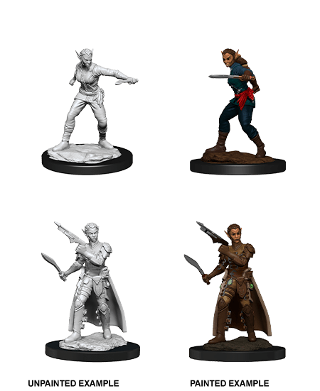 Half-Elf Rogue Female—D&D Nolzur's Marvelous Miniatures W17