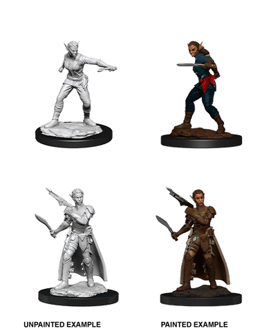 D&D Nolzur's Marvelous Unpainted Miniatures: W13 Shifter Rogue Female