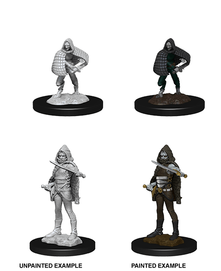 D&D Nolzur's Marvelous Unpainted Miniatures: W13 Darkling Elder & Darklings