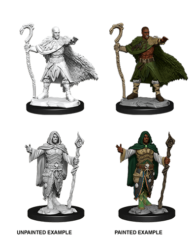 D&D Nolzur's Marvelous Unpainted Miniatures: W14 Human Druid Male