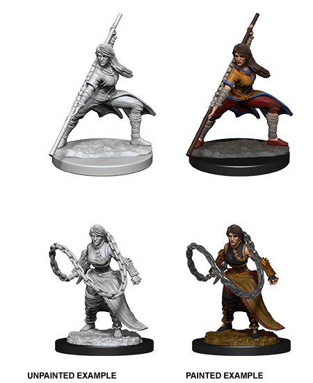 D&D Nolzur's Marvelous Unpainted Miniatures: W14 Human Monk Female