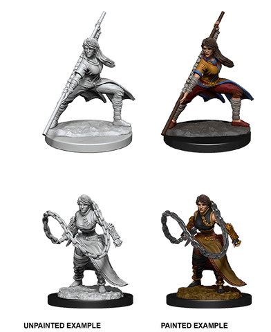 D&D Nolzur's Marvelous Unpainted Miniatures: W14 Human Monk Female