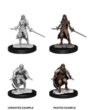 D&D Nolzur's Marvelous Unpainted Miniatures: W14 Half-Elf Rogue Female