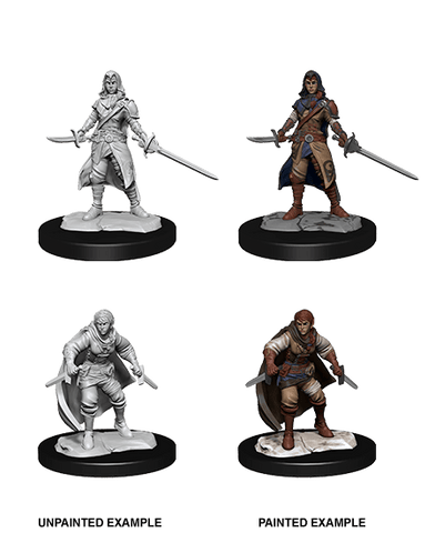 D&D Nolzur's Marvelous Unpainted Miniatures: W14 Half-Elf Rogue Female