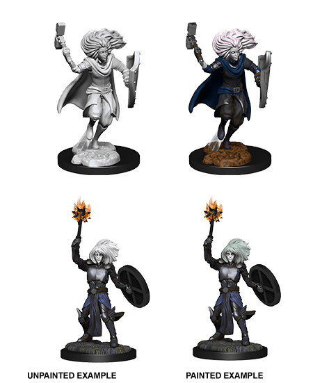 D&D Nolzur's Marvelous Miniatures: Elf Cleric Male