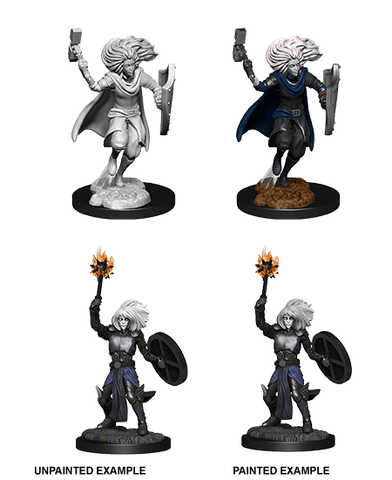 D&D Nolzur's Marvelous Unpainted Miniatures: W14 Changeling Cleric Male