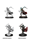 D&D Nolzur's Marvelous Unpainted Miniatures: W15 Air Genasi Female