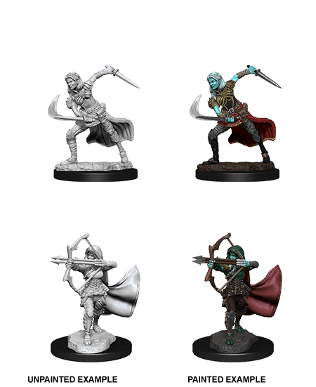 D&D Nolzur's Marvelous Unpainted Miniatures: W15 Air Genasi Female