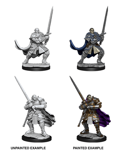D&D Nolzur's Marvelous Unpainted Miniatures: W15 Half-Orc Paladin Male