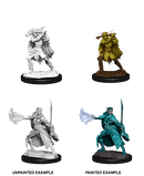 D&D Nolzur's Marvelous Unpainted Miniatures - W15 Winter Eladrin & Spring Eladrin