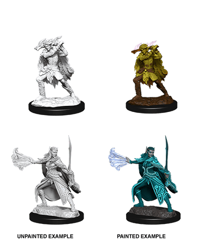 Nolzur's Marvelous Unpainted Miniatures