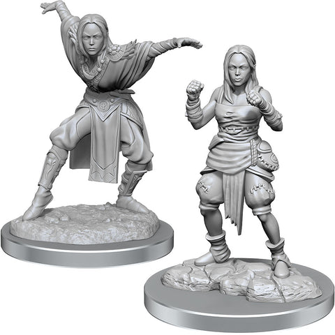 Pathfinder Deep Cuts Unpainted Miniatures: W21 Half-Elf Monk Females
