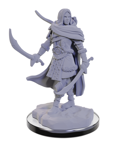 D&D Nolzur's Marvelous Unpainted Miniatures: W22 Human Rangers