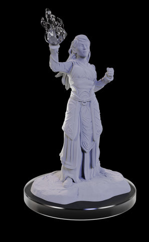 D&D Nolzur's Marvelous Unpainted Miniatures: W22 Elf Wizards