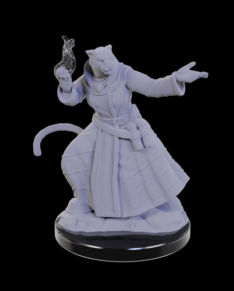 Critical Role Unpainted Miniatures: W05 Lucien Tavelle & Cree Deeproots